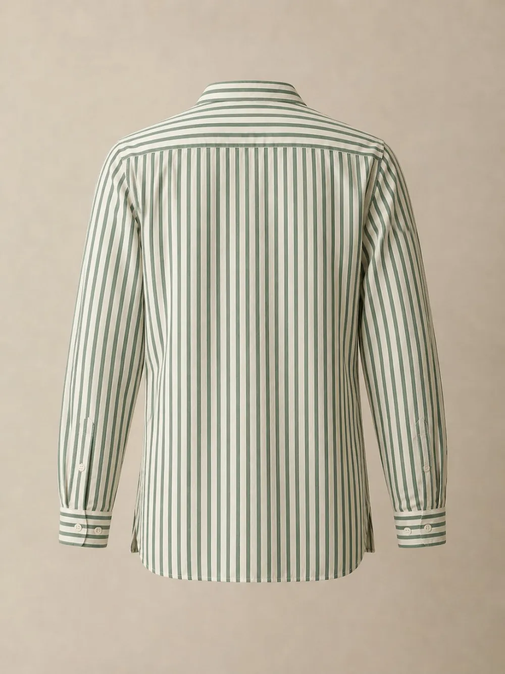 Greenhouse Stripe Shirt — Back view